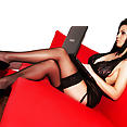 Black Lace & Stockings - image control.gallery.php